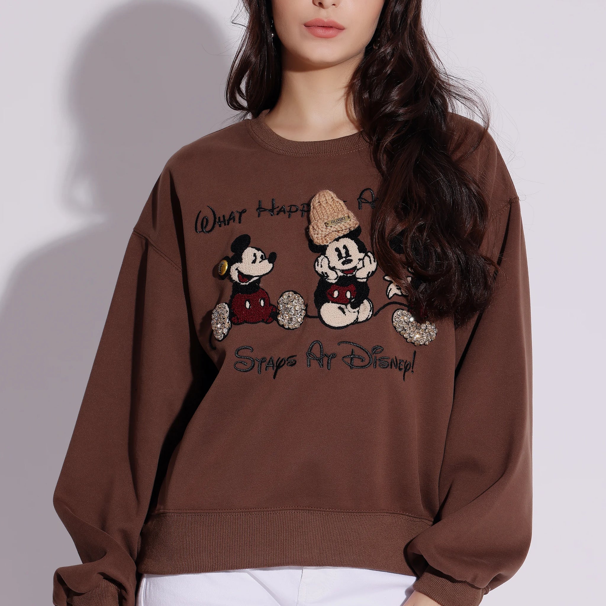 Casual Brown Sweatshirt with Disney-Inspired Embroidery