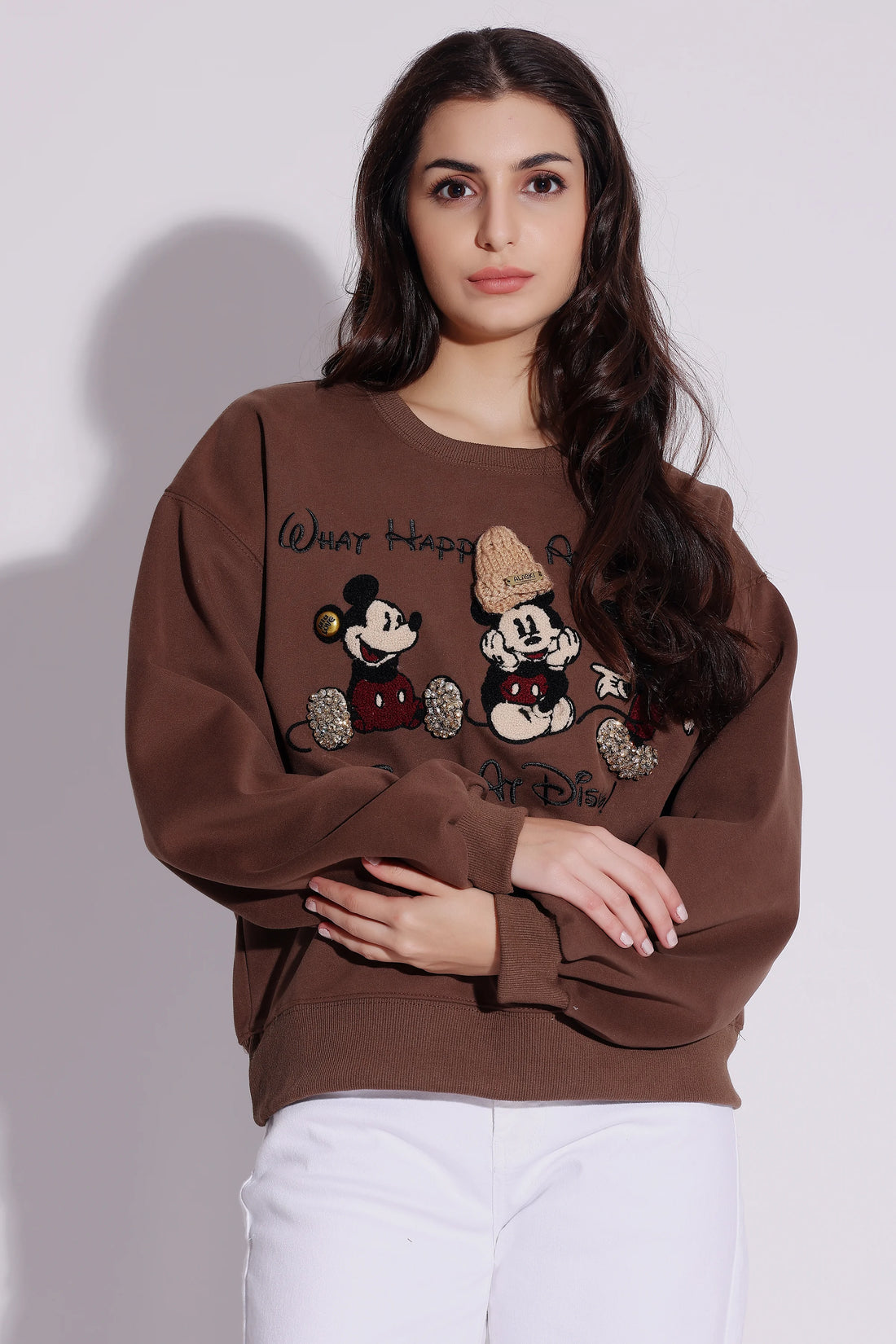 Casual Brown Sweatshirt with Disney-Inspired Embroidery